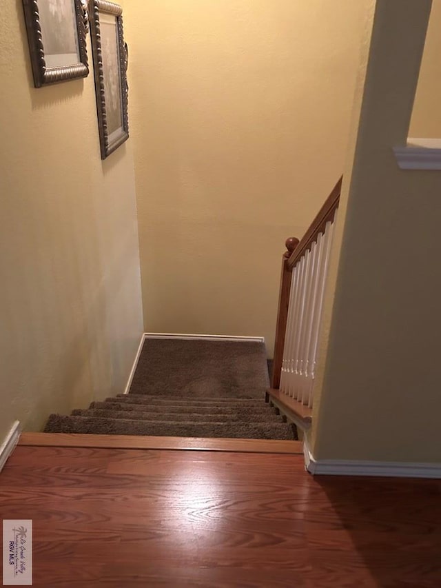 staircase with hardwood / wood-style floors