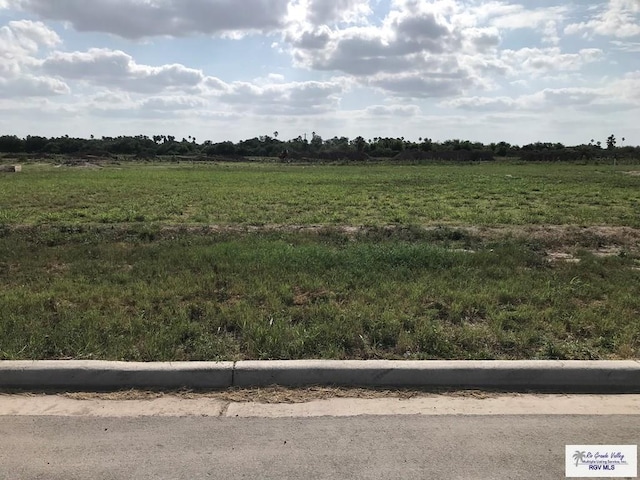 1605 Thacker Ln, Harlingen, TX 78552