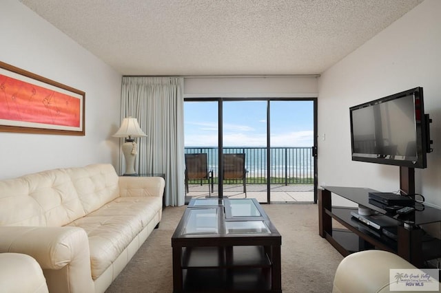 living room featuring carpet floors and a textured ceiling