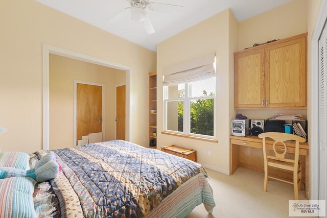 5348 Papaya Cir, Harlingen, TX 78552 - photo 24