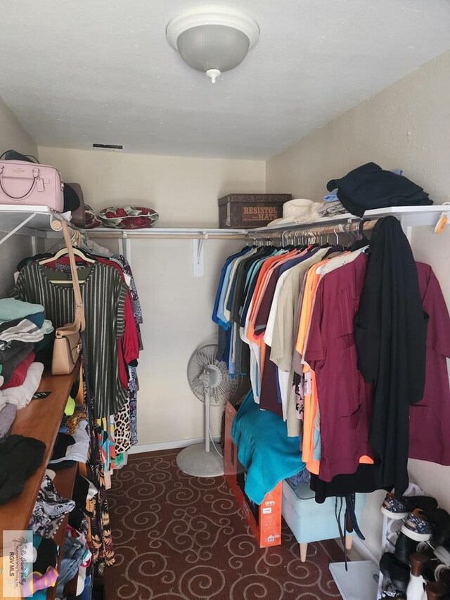 view of walk in closet