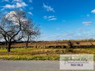 Listing photo 2 for 33465 Ebony Dr, Los Fresnos TX 78566