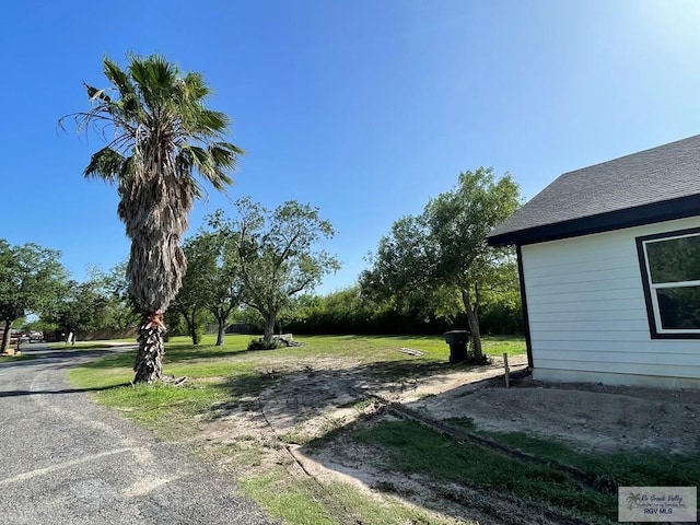 705 W Matz Ave, Harlingen, TX 78550 - view of yard