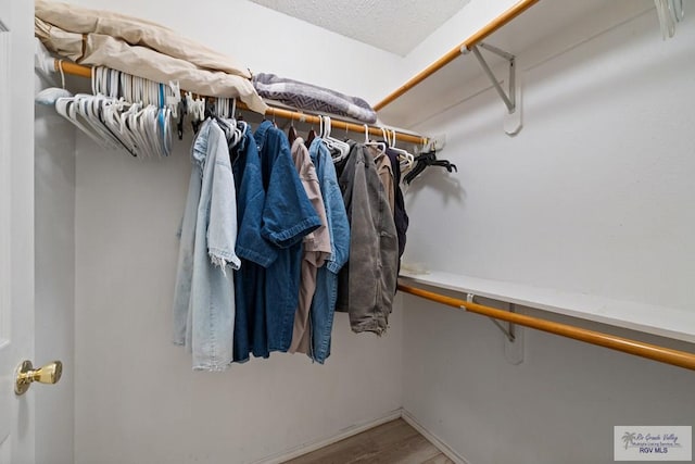 100 Pocahontas Dr Unit 100, Harlingen, TX 78552 - walk in closet with wood finished floors