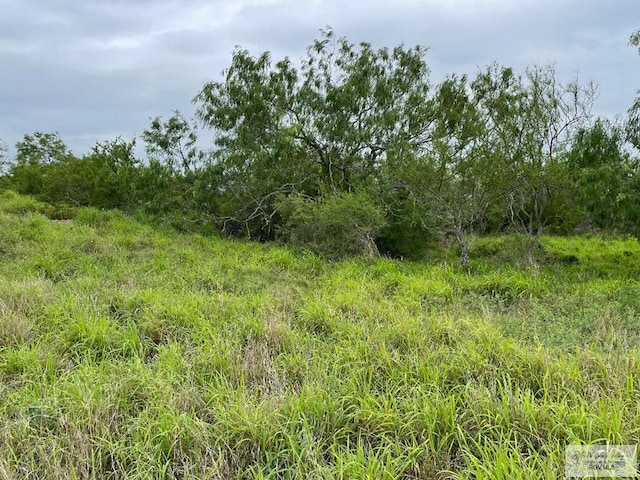 15LOTS Hwy 100, Los Fresnos TX, 78566 land for sale