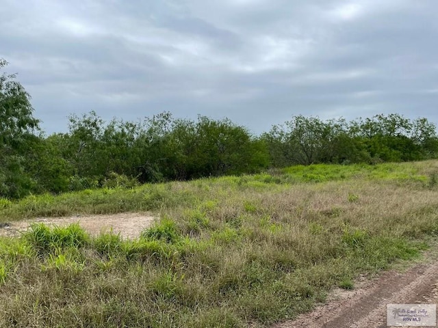 Listing photo 3 for 15LOTS Hwy 100, Los Fresnos TX 78566