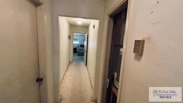 1330 Reagan St Unit 3, San Benito, TX 78586 - corridor featuring light colored carpet