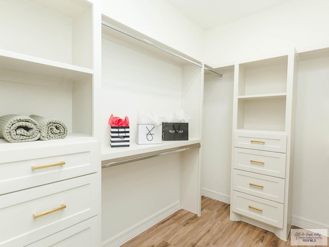 23100 Hidalgo Ave, Harlingen, TX 78552 - spacious closet with light wood-style floors