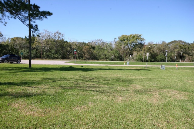0 Gaines Cor, Brazoria, TX 77422 - photo 8