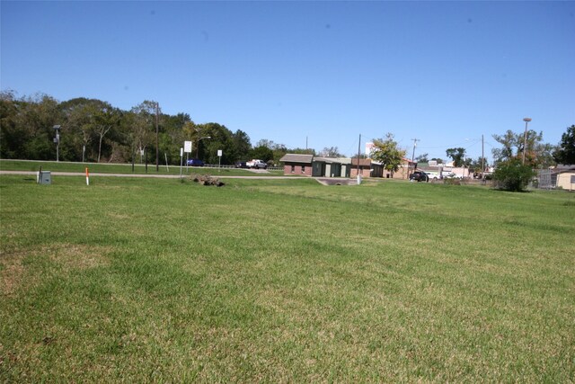 0 Gaines Cor, Brazoria, TX 77422 - photo 9