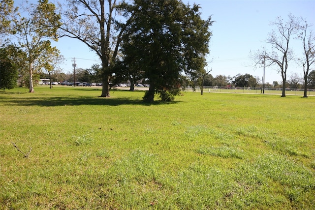 0 Gaines Cor, Brazoria, TX 77422 - photo 10