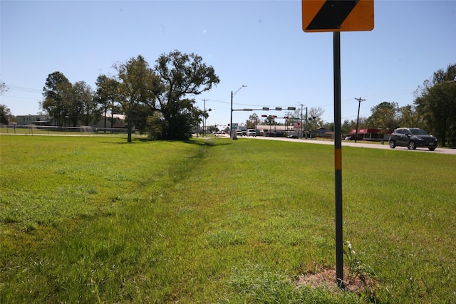 0 Gaines Cor, Brazoria, TX 77422 - photo 11