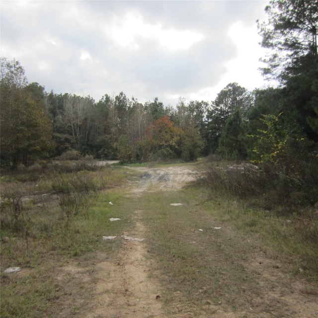 19100 Lincoln, New Caney TX, 77357 land for sale