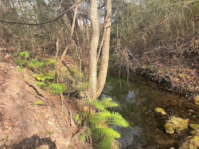 TBD County Road 221, Schulenburg TX, 78956 land for sale