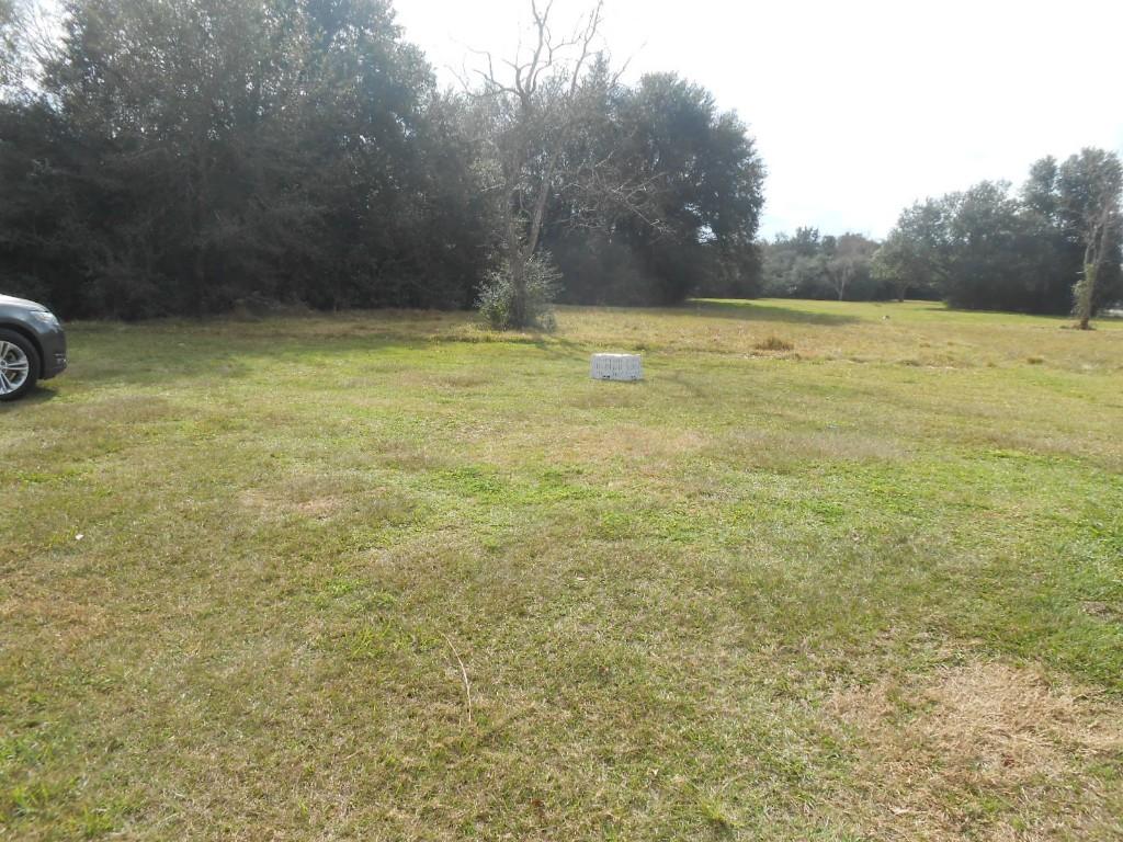 6 S Highway Trfy, Hitchcock, TX 77563 - photo 2