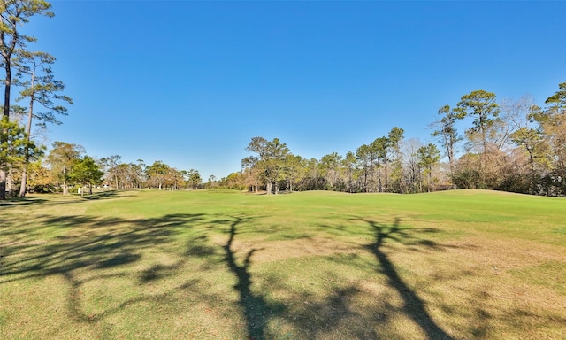 2726 N Southern Oaks Dr, Houston, TX 77068 - photo 42