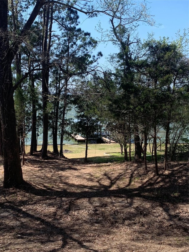 Listing photo 3 for TBD Cedar Ln, Livingston TX 77351