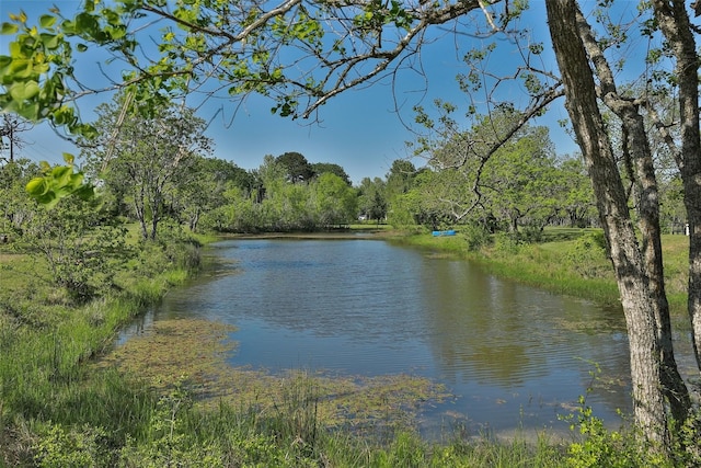 view of water feature