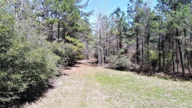 Listing photo 3 for TBD Fm 232, Crockett TX 75835