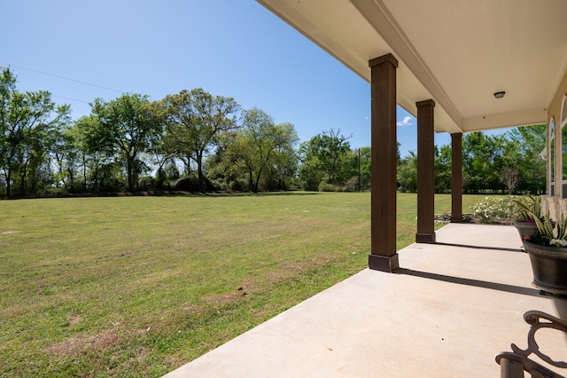 view of yard featuring a patio