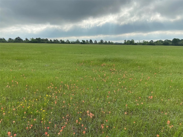 20720 Cochran Rd, Prairie View TX, 77446 land for sale