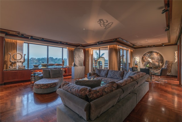 living room with a raised ceiling and dark parquet flooring