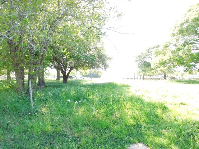 1215 N Meyer St, Sealy, TX 77474