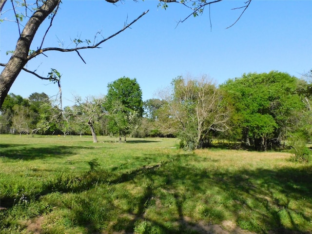 1215 N Meyer St, Sealy, TX 77474
