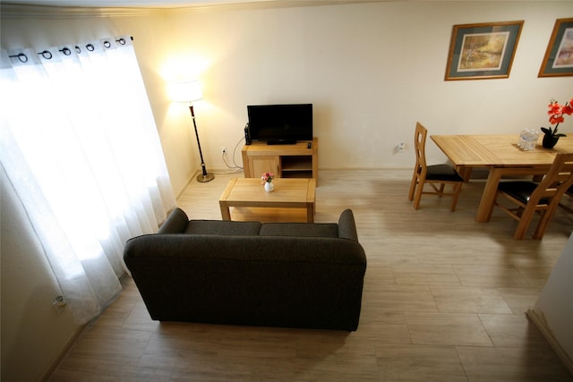 living room with ornamental molding