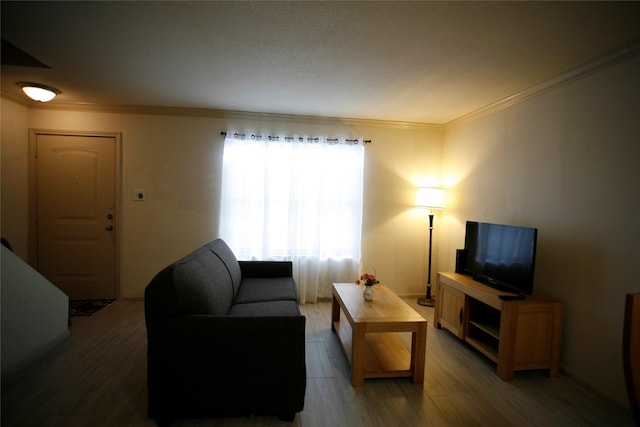 living room with ornamental molding and wood-type flooring