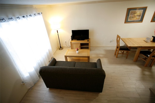 living room with crown molding