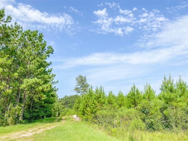 00 Jimbo Nettles Rd, Livingston TX, 77351 land for sale