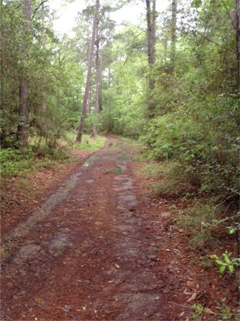 1800 County Rd, Goodrich, TX 77335