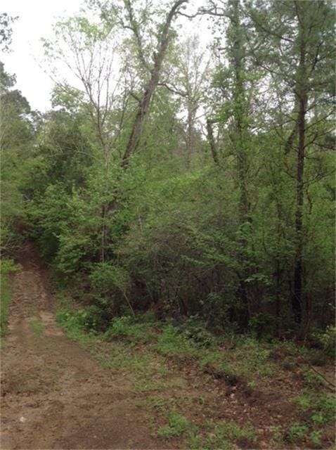 Listing photo 3 for 1800 County Rd, Goodrich TX 77335