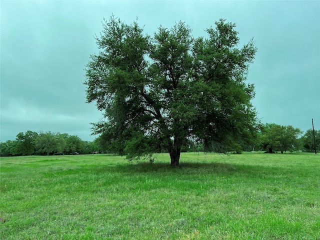 Listing photo 2 for Lot3 Pvt 1671, Hallettsville TX 77964