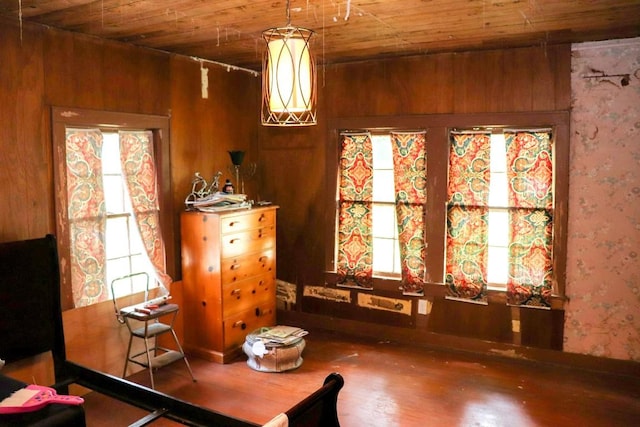 interior space featuring wood ceiling, wooden walls, and dark hardwood / wood-style floors