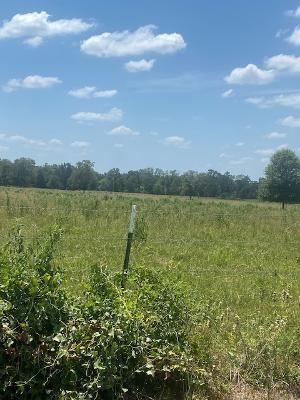 0 County Road 117, Bedias TX, 77831 land for sale