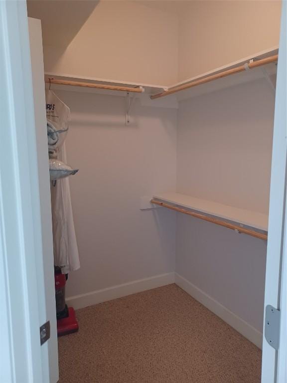 walk in closet with carpet floors