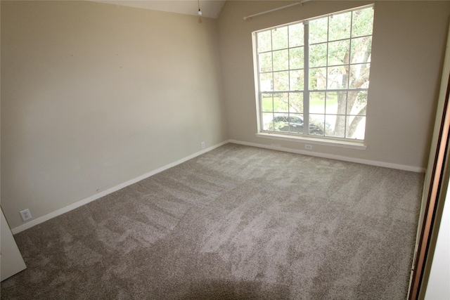 unfurnished room featuring carpet floors