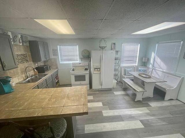 kitchen with a paneled ceiling, tasteful backsplash, gray cabinets, white appliances, and sink