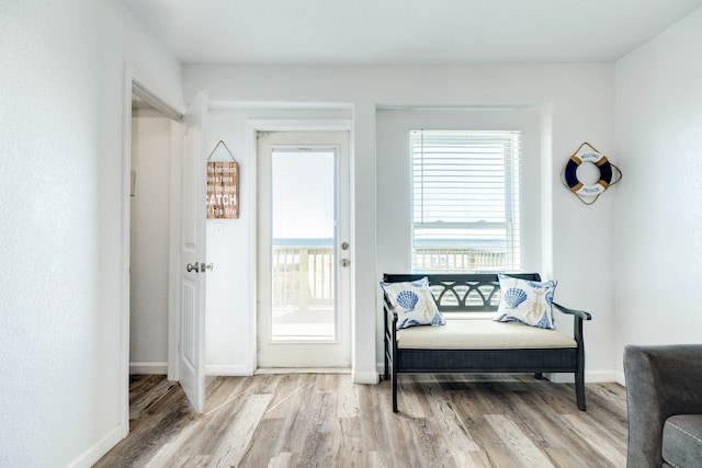 sitting room featuring plenty of natural light and light wood-type flooring