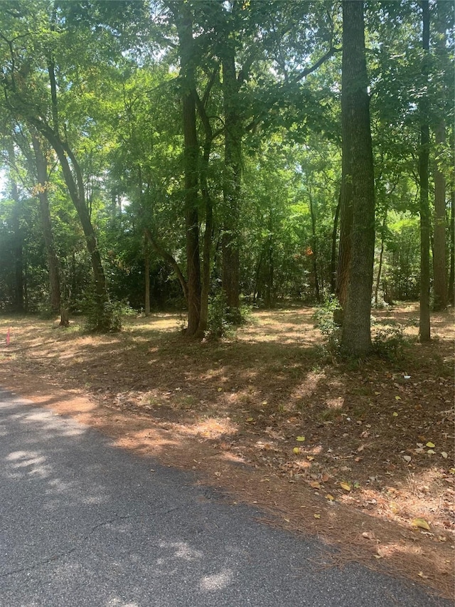 TBD13 Sweet Gum Ln, Livingston TX, 77351 land for sale