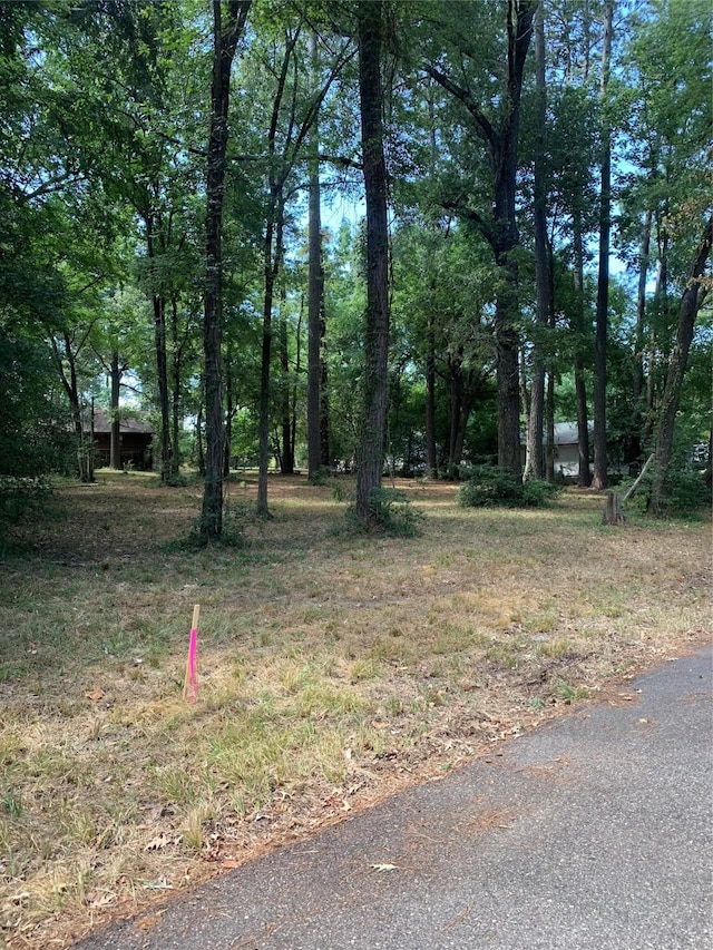 Listing photo 2 for TBD13 Sweet Gum Ln, Livingston TX 77351