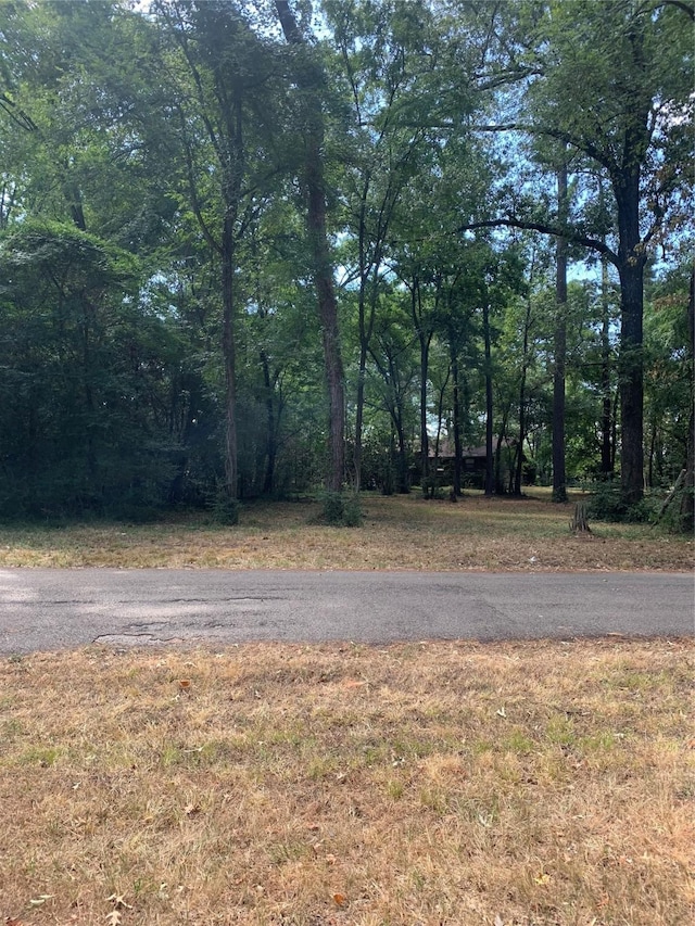 Listing photo 3 for TBD13 Sweet Gum Ln, Livingston TX 77351