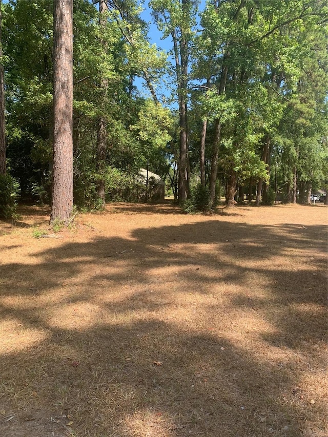 TBD1314 Chain Rd, Livingston TX, 77351 land for sale