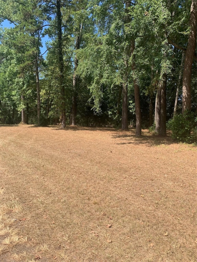 Listing photo 2 for TBD1314 Chain Rd, Livingston TX 77351