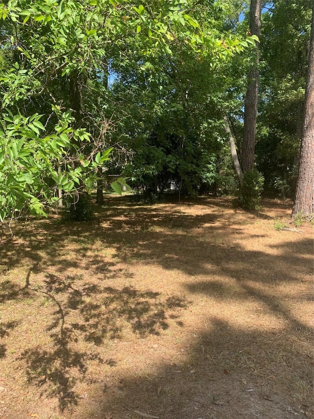 Listing photo 3 for TBD1314 Chain Rd, Livingston TX 77351