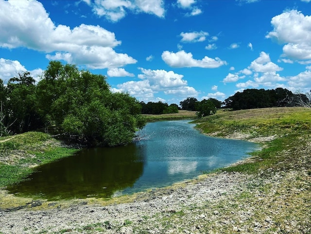 133 N Knezek, Flatonia TX, 78941 land for sale