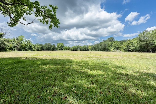 view of local wilderness featuring a rural view