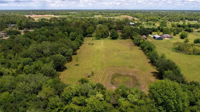 view of bird's eye view